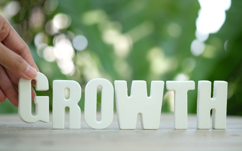 Small Business Growth Tips 2025