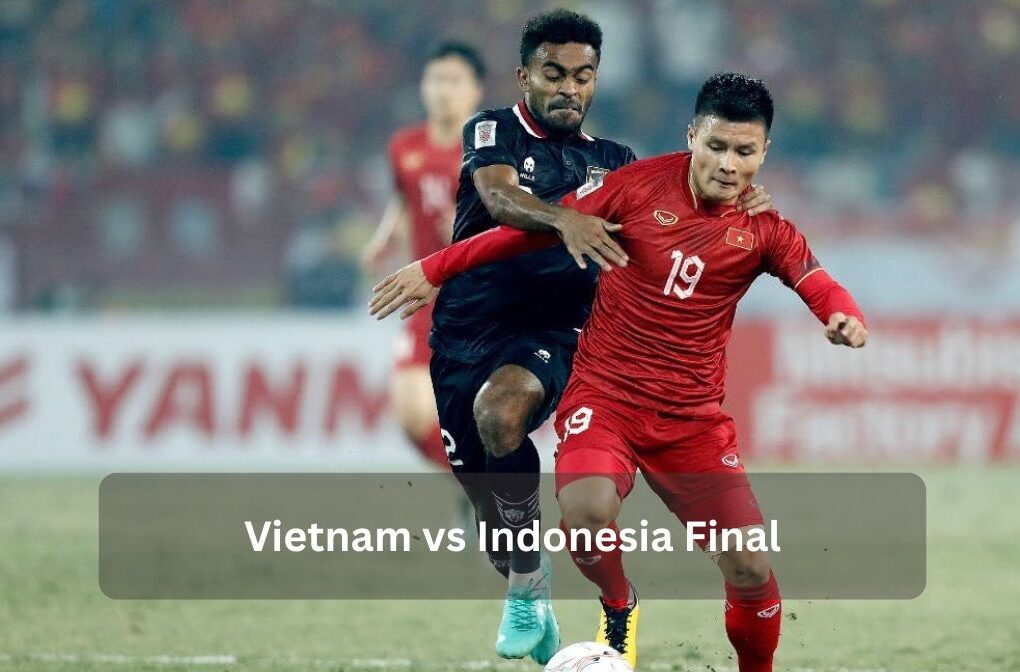 Vietnam vs Indonesia Final
